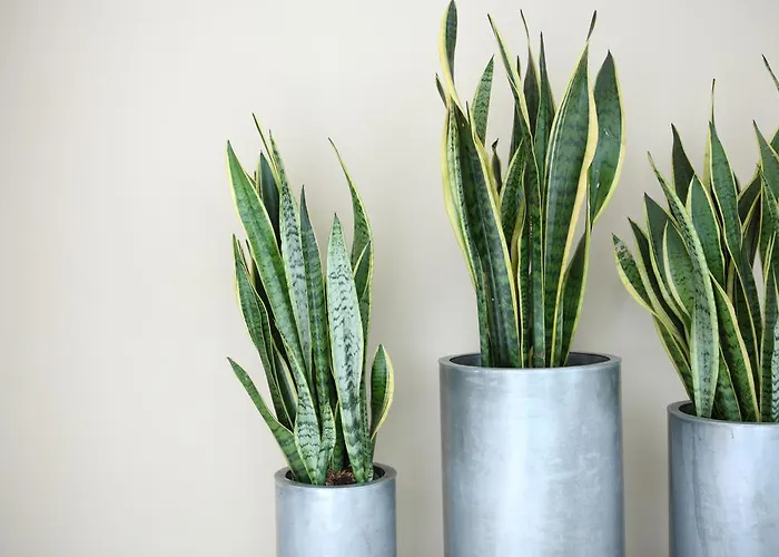 호텔 The Grey Design